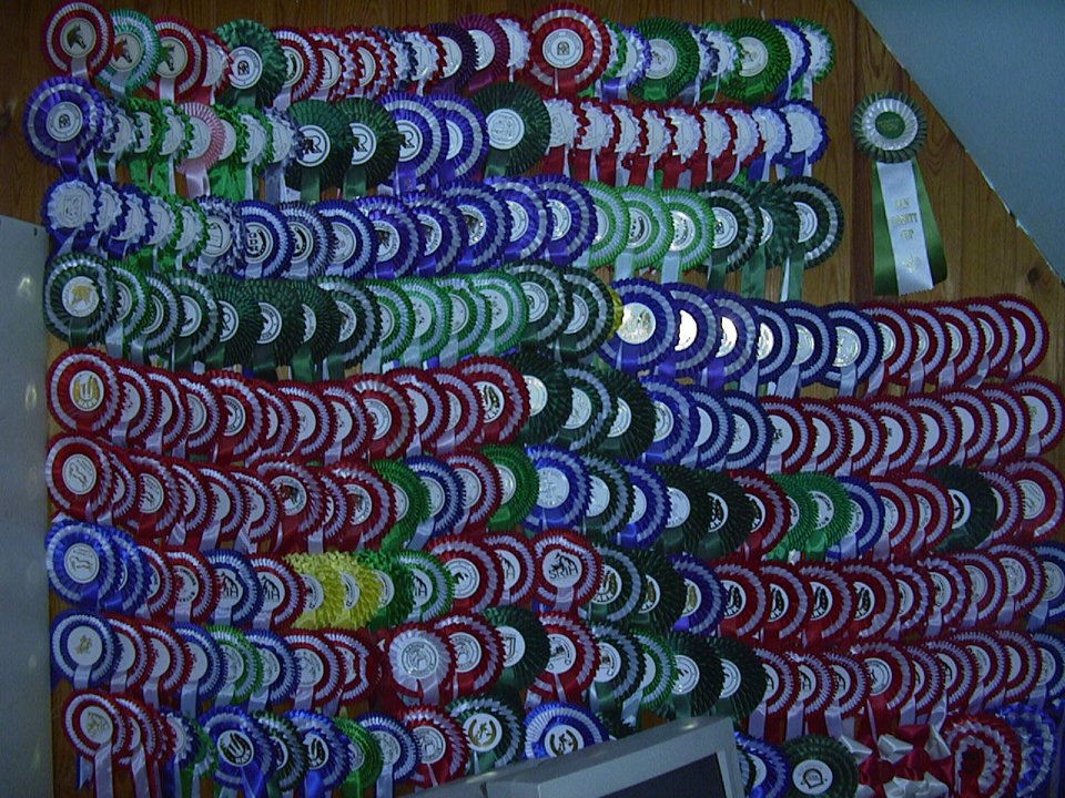 Some of the prized I have won